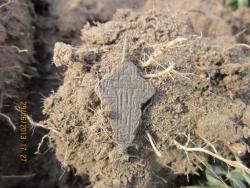 post-12688-0-07036000-1372624301_thumb.j