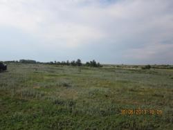 post-12688-0-84207600-1372625094_thumb.j