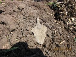 post-12688-0-85010700-1372624776_thumb.j