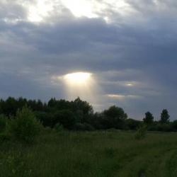 post-13973-0-71891300-1371571255_thumb.j