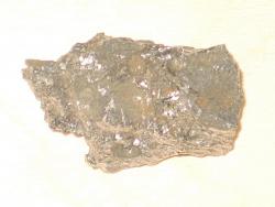 post-14068-0-41906400-1372167585_thumb.j