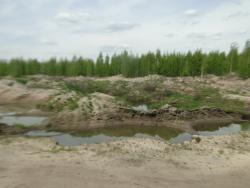 post-14962-0-86242400-1371230415_thumb.j