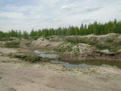 post-14962-0-89503100-1371230429_thumb.j