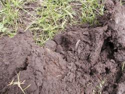 post-1697-0-77477800-1370255002_thumb.jp