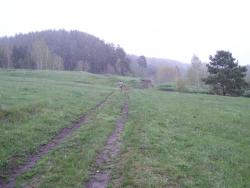 post-1697-0-92781800-1370254423_thumb.jp