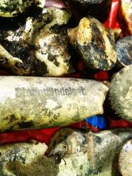 post-17252-0-09922100-1370106367_thumb.j