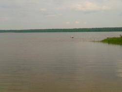 post-17252-0-50743300-1370100963_thumb.j