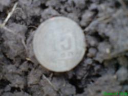 post-17557-0-73937900-1372622724_thumb.j