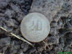 post-17557-0-85316300-1372623109_thumb.j