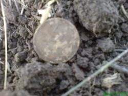 post-17557-0-89688300-1372622683_thumb.j