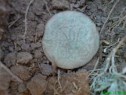 post-17557-0-98097100-1372622630_thumb.j