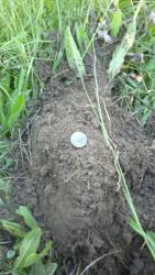 post-20232-0-09333300-1372626510_thumb.j