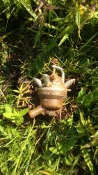 post-20232-0-28008700-1370286309_thumb.j