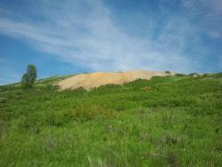 post-20472-0-18866700-1370338873_thumb.j