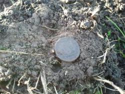 post-20472-0-71563200-1370702200_thumb.j