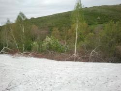 post-20472-0-71824600-1370338870_thumb.j