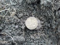 post-20472-0-82515600-1370338295_thumb.j