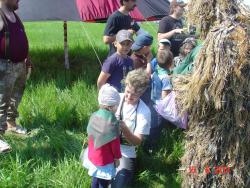 post-2202-0-62224200-1371454417_thumb.jp