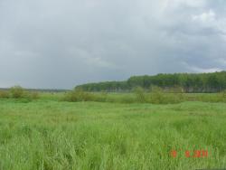 post-2202-0-80259900-1371454581_thumb.jp