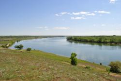 post-22801-0-47859000-1372445120_thumb.j