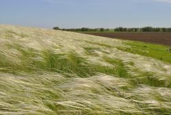 post-22801-0-80481900-1372445162_thumb.j