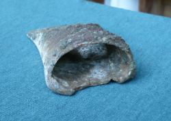 post-23116-0-43283500-1372180824_thumb.j