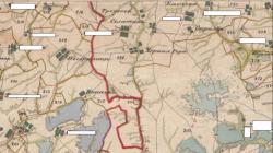 post-25250-0-05925300-1372225656_thumb.j