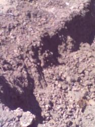 post-25362-0-92618800-1371055886_thumb.j