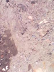 post-25362-0-95368800-1371055889_thumb.j