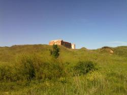 post-26086-0-38961700-1371412936_thumb.j