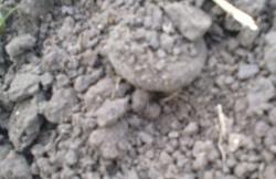 post-26309-0-24386900-1372616115_thumb.j