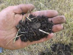 post-26309-0-30919600-1372616133_thumb.j