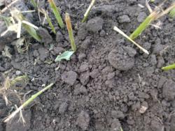 post-26309-0-96257300-1372616123_thumb.j