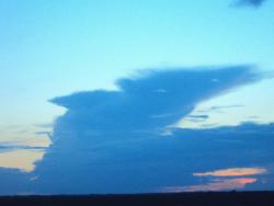 post-26389-0-50285000-1371029577_thumb.j