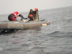 post-26681-0-03336000-1371884603_thumb.j