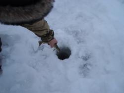 post-26681-0-68760300-1371884602_thumb.j