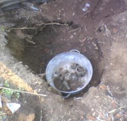 post-26744-0-13368300-1371407832_thumb.j