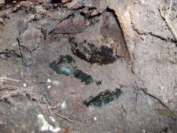 post-26744-0-25521100-1371756893_thumb.j