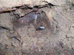 post-26744-0-45413500-1371756879_thumb.j