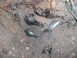 post-26744-0-58496000-1371756910_thumb.j