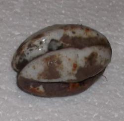 post-26744-0-96760800-1371925970_thumb.j