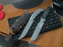 post-26836-0-39237900-1370857506_thumb.j