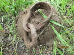 post-27143-0-06041900-1371100947_thumb.j