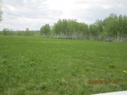 post-27143-0-43095600-1370091590_thumb.j