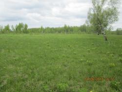 post-27143-0-79411800-1370091662_thumb.j