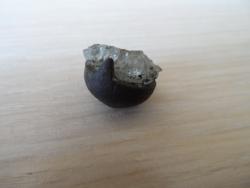 post-27147-0-46301600-1371560111_thumb.j