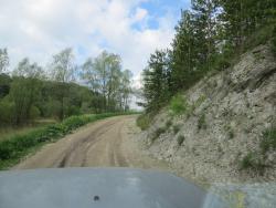 post-27150-0-00880300-1371047335_thumb.j