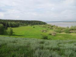 post-27150-0-26159900-1371047334_thumb.j