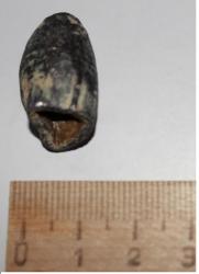 post-27347-0-53148300-1370191079_thumb.j