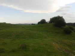 post-27541-0-71333400-1371227260_thumb.j